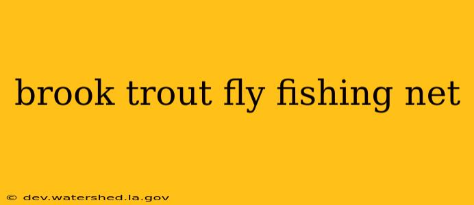 brook trout fly fishing net