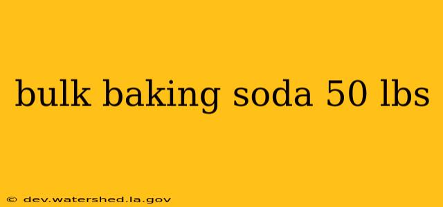 bulk baking soda 50 lbs