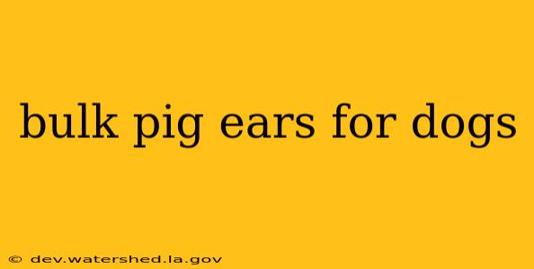 bulk pig ears for dogs