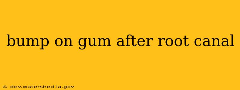 bump on gum after root canal