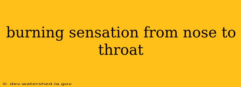 burning sensation from nose to throat