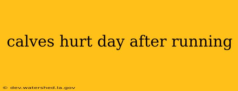 calves hurt day after running