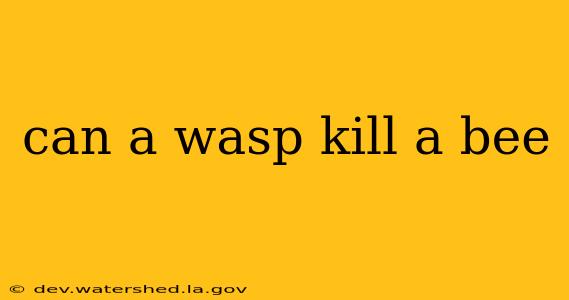 can a wasp kill a bee
