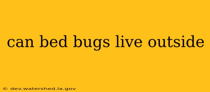 can bed bugs live outside