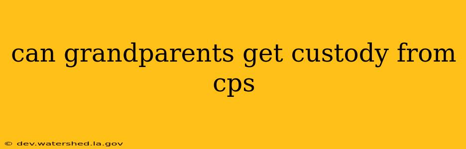 can grandparents get custody from cps