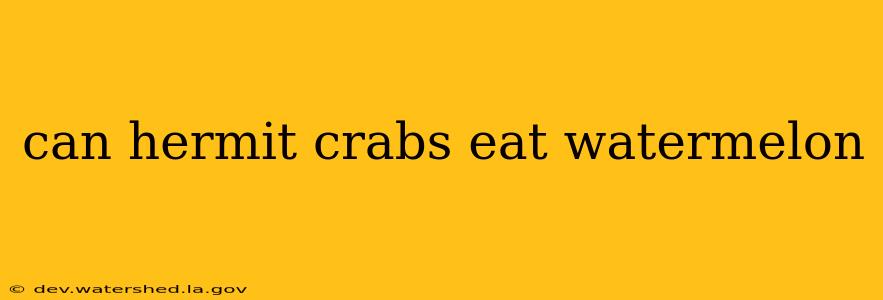 can hermit crabs eat watermelon