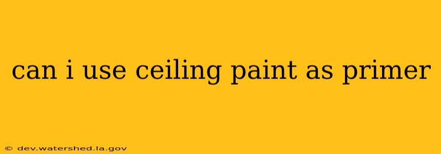 can i use ceiling paint as primer