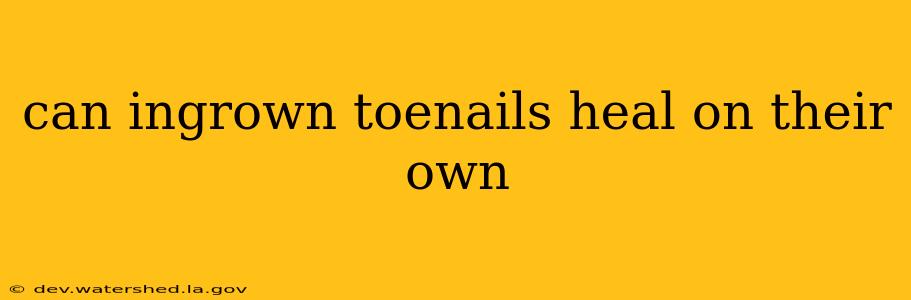can ingrown toenails heal on their own