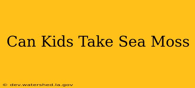 can kids take sea moss