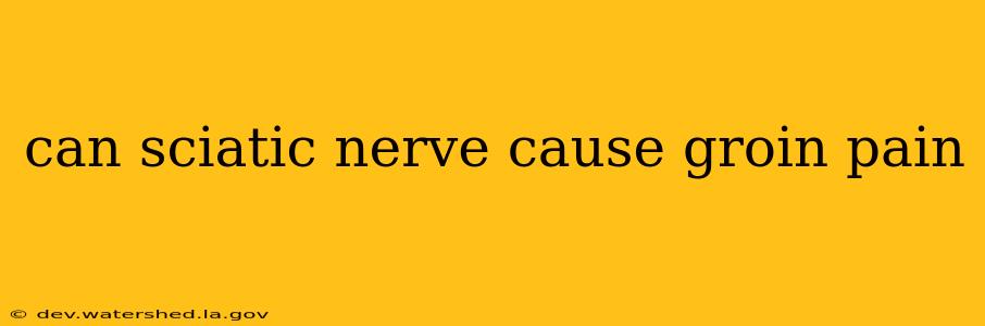 can sciatic nerve cause groin pain