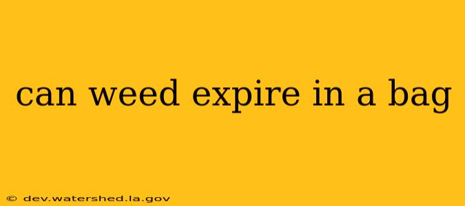 can weed expire in a bag