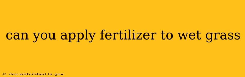 can you apply fertilizer to wet grass
