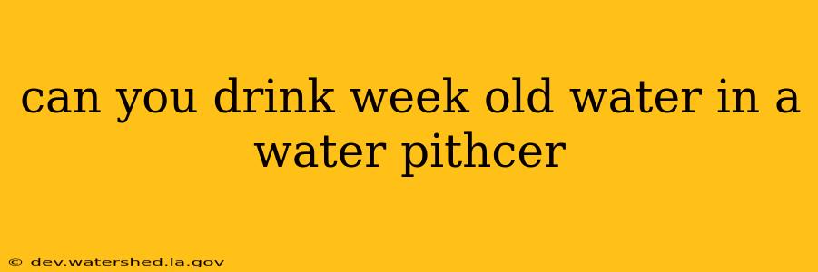 can you drink week old water in a water pithcer