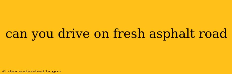 can you drive on fresh asphalt road