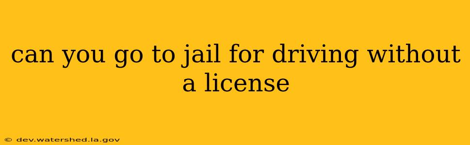 can you go to jail for driving without a license