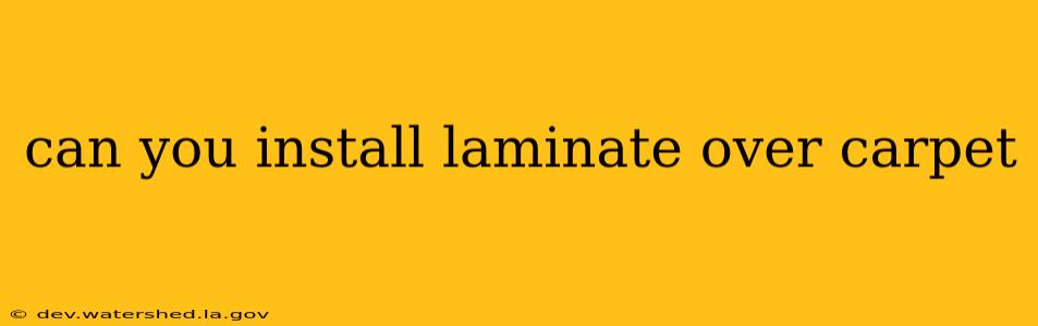 can you install laminate over carpet