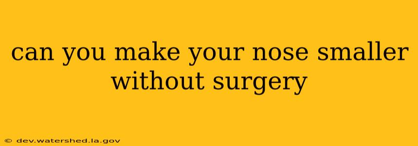can you make your nose smaller without surgery