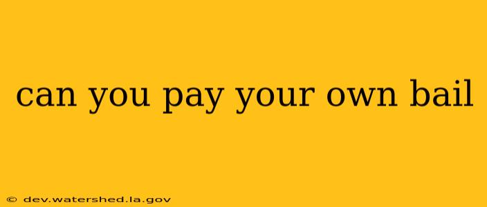 can you pay your own bail