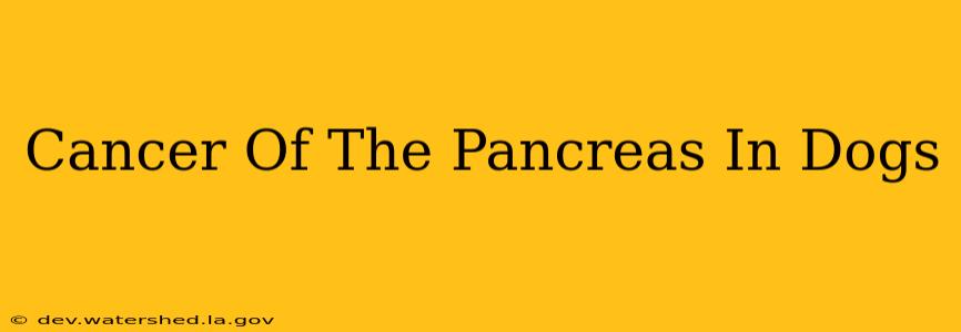 cancer of the pancreas in dogs