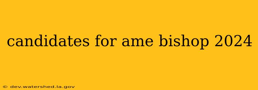candidates for ame bishop 2024