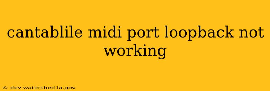 cantablile midi port loopback not working