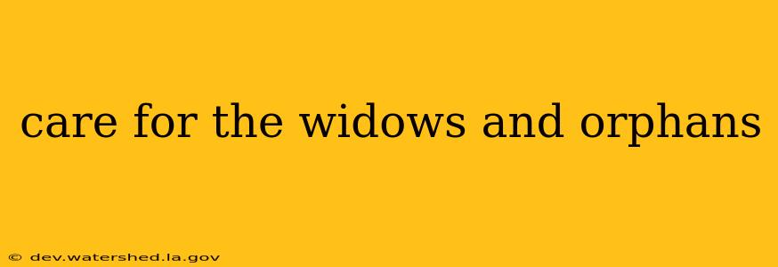care for the widows and orphans