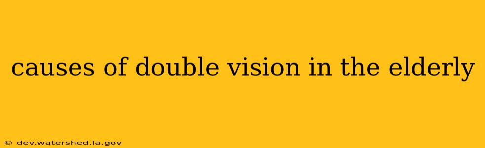 causes of double vision in the elderly