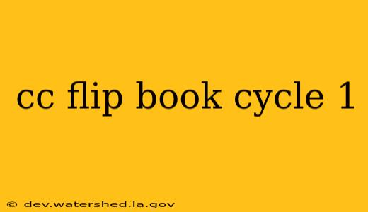 cc flip book cycle 1