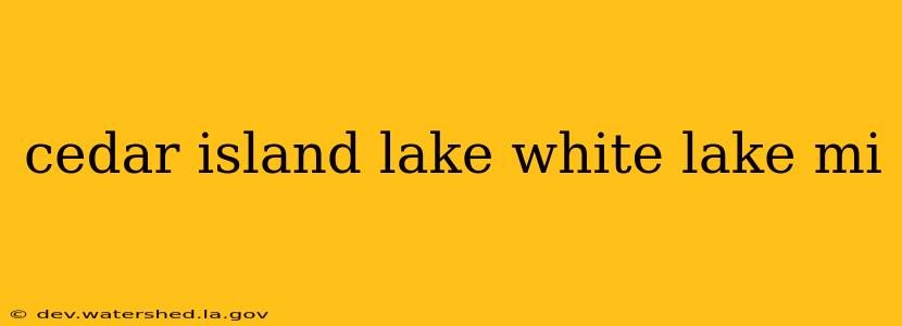 cedar island lake white lake mi