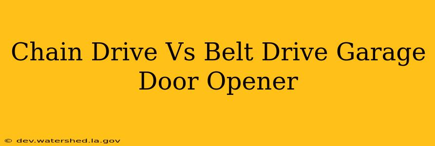 chain drive vs belt drive garage door opener