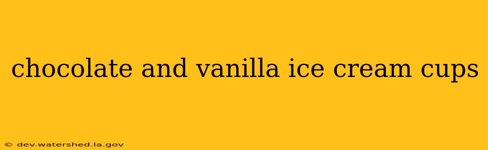 chocolate and vanilla ice cream cups