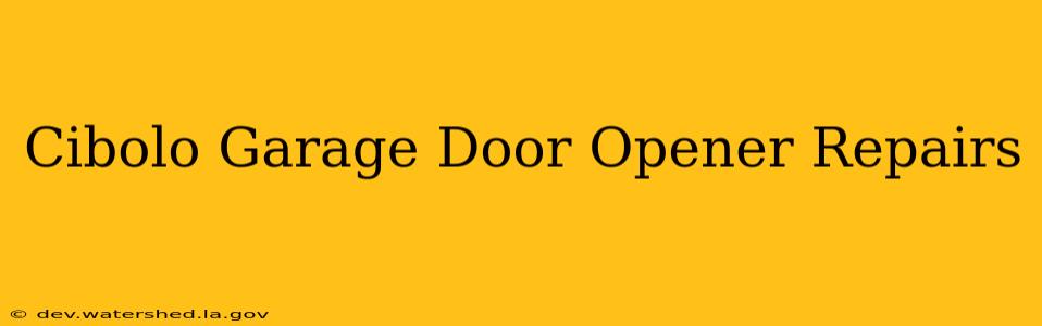 cibolo garage door opener repairs