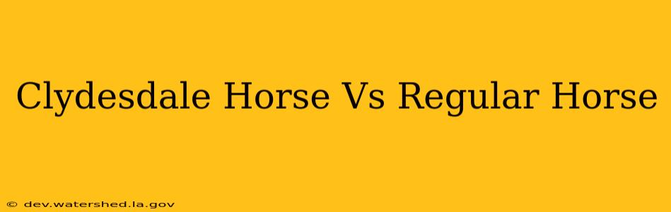 clydesdale horse vs regular horse