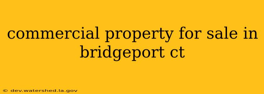 commercial property for sale in bridgeport ct