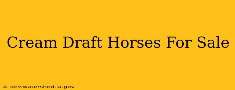 cream draft horses for sale