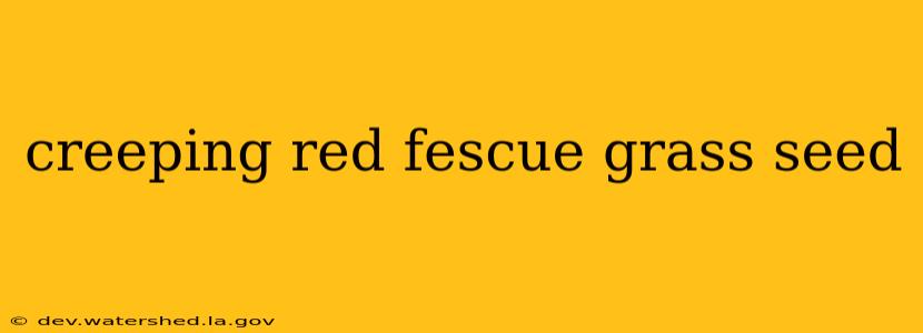 creeping red fescue grass seed