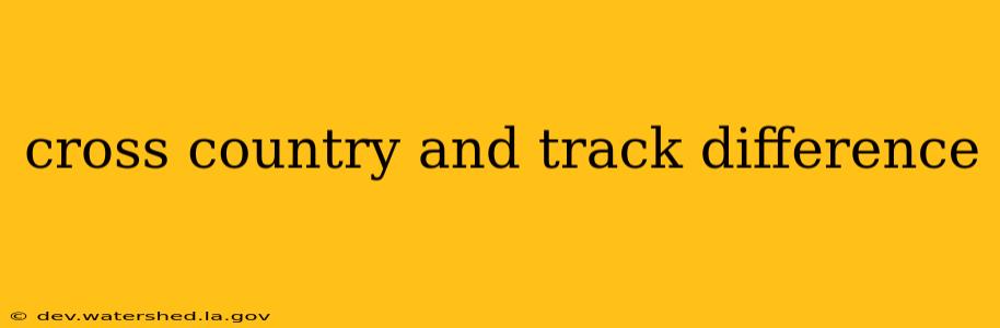 cross country and track difference