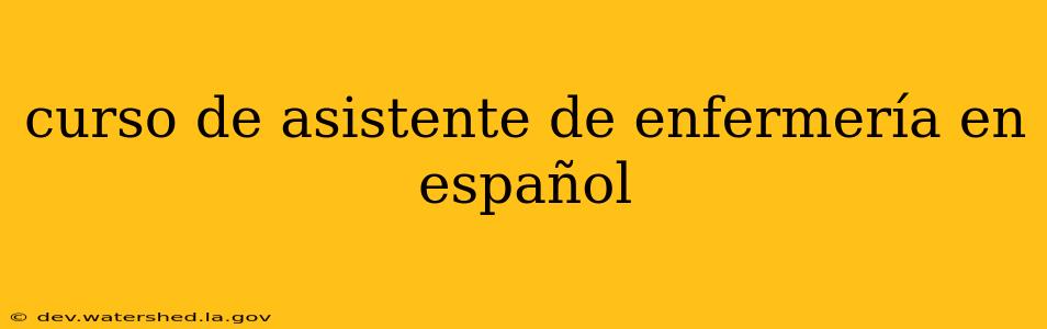 curso de asistente de enfermería en español