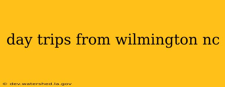 day trips from wilmington nc