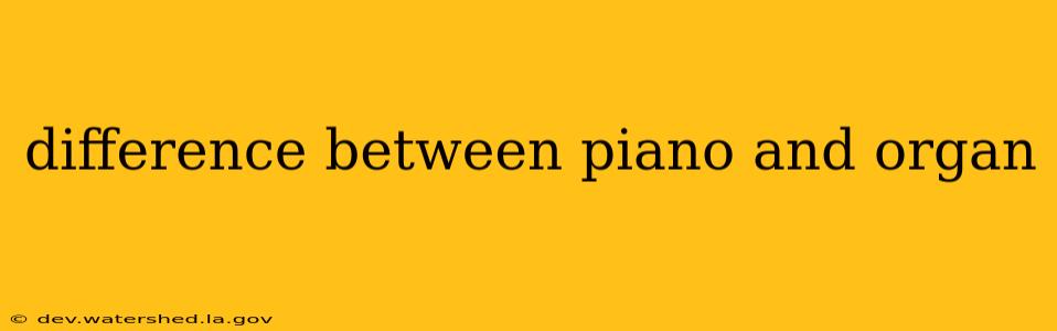 difference between piano and organ