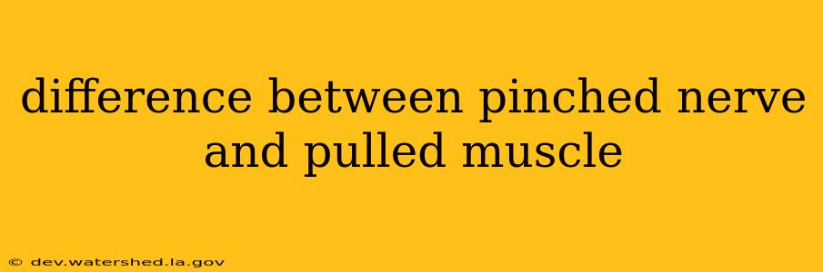 difference between pinched nerve and pulled muscle