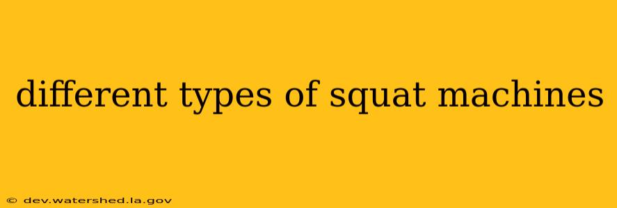 different types of squat machines