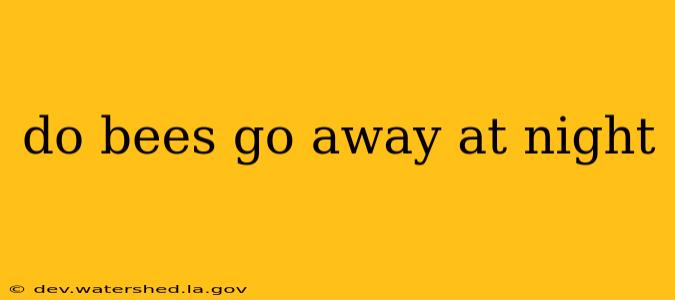 do bees go away at night