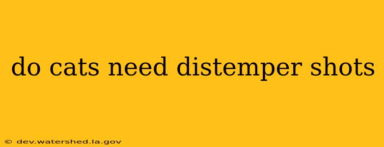 do cats need distemper shots