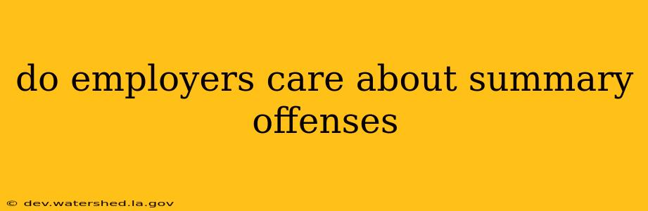 do employers care about summary offenses
