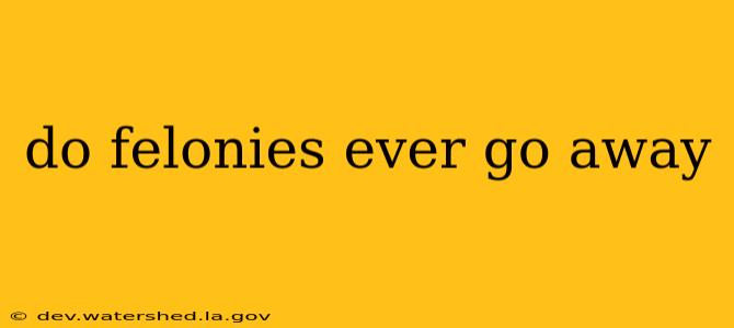 do felonies ever go away