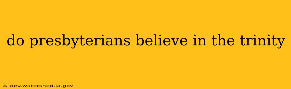 do presbyterians believe in the trinity