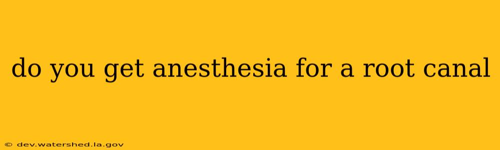 do you get anesthesia for a root canal