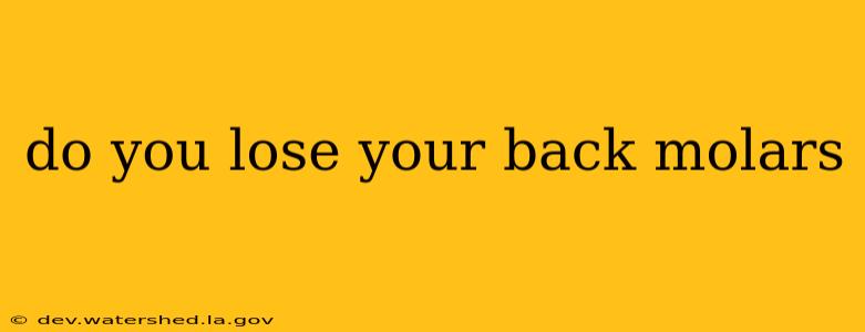 do you lose your back molars