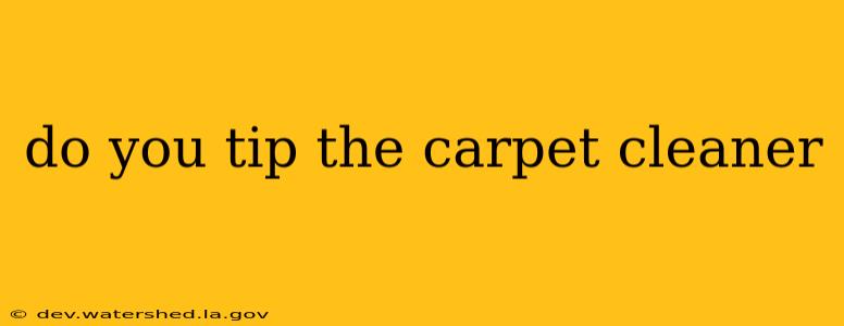 do you tip the carpet cleaner